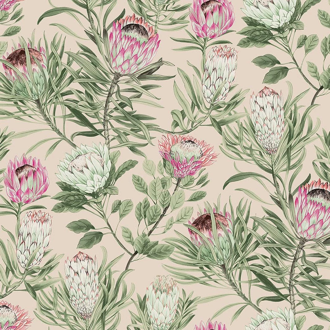 Protea Wallpaper // Blush