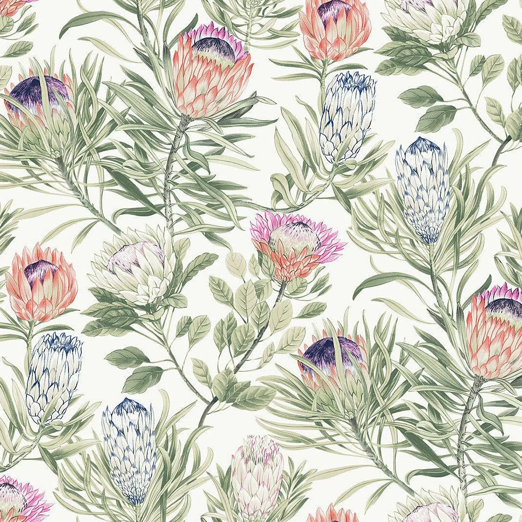 Protea Wallpaper // White & Fuchsia