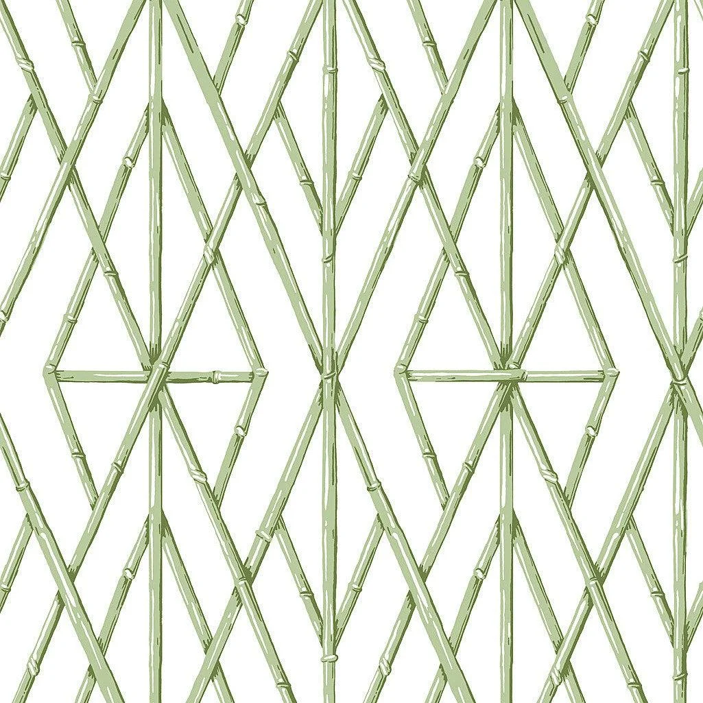 Riviera Bamboo Trellis Wallpaper // Green