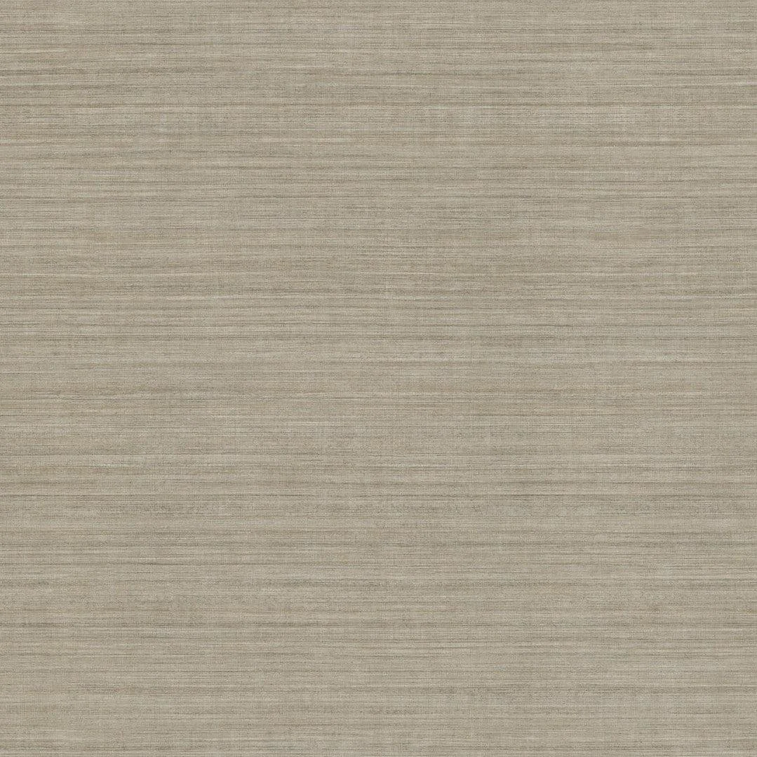 Tasar Silk Wallpaper // Brown