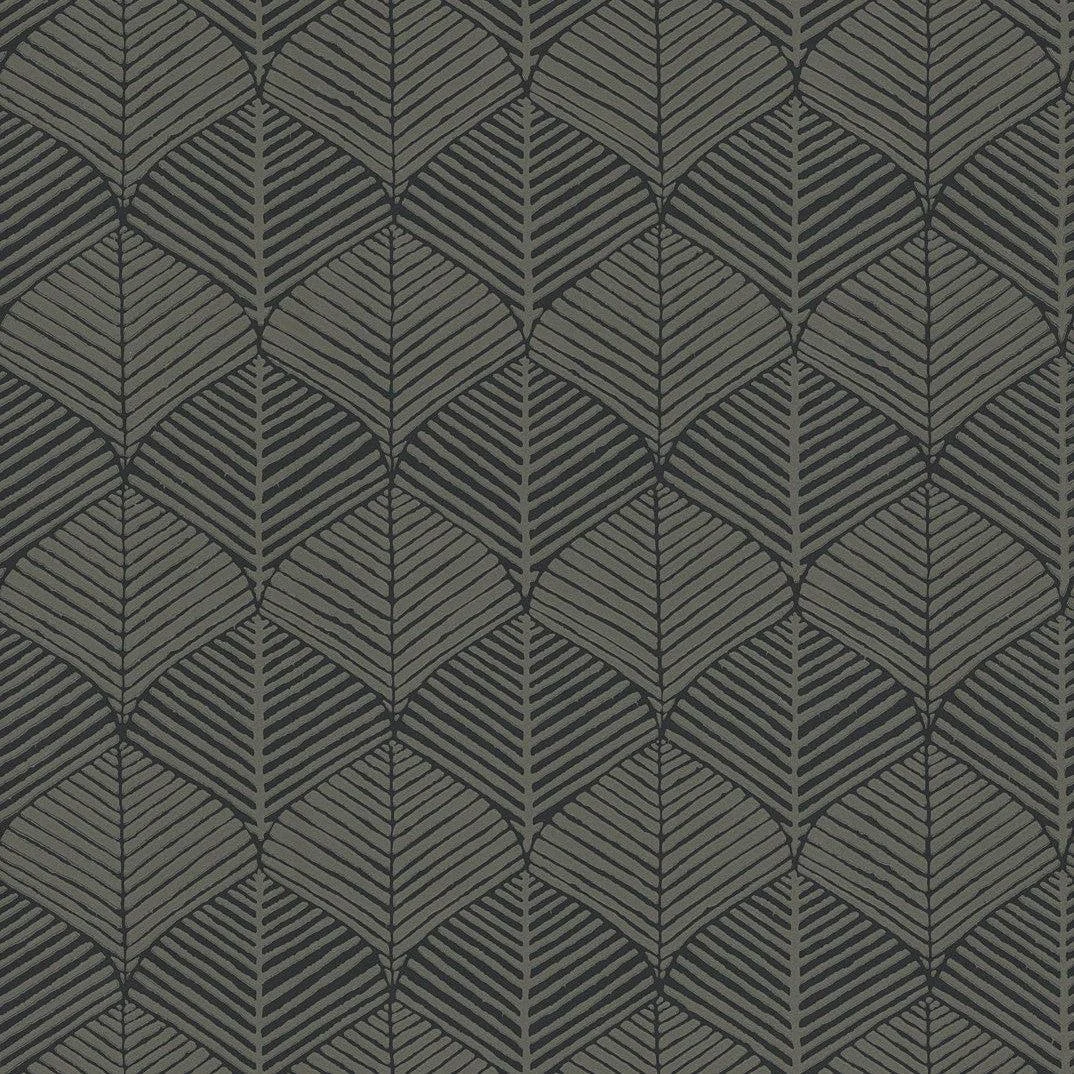 Universal Nature Wallpaper // Shadow