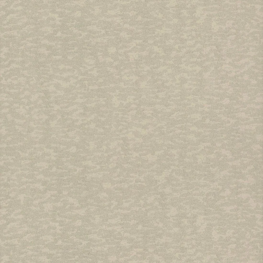 Weathered Cypress Wallpaper // Taupe