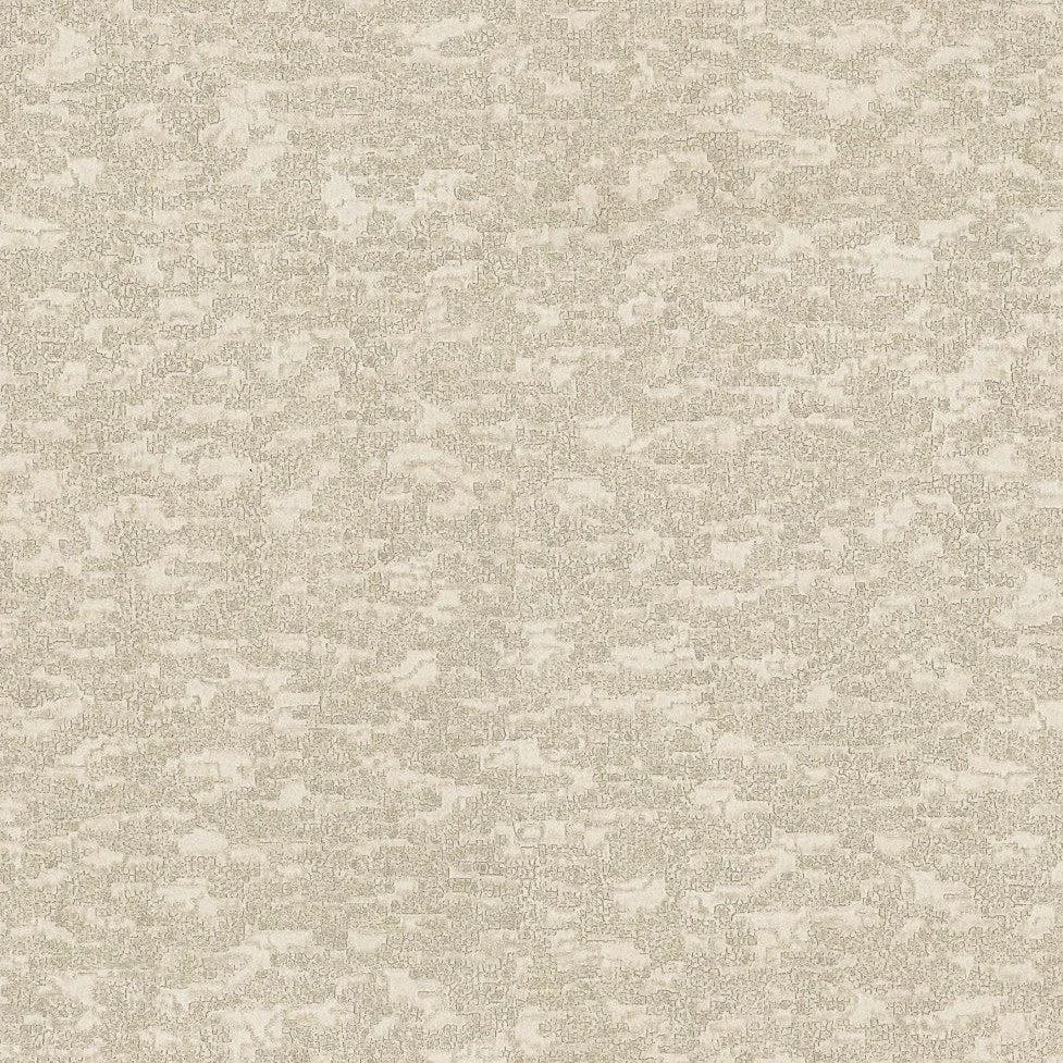 Weathered Cypress Wallpaper // White