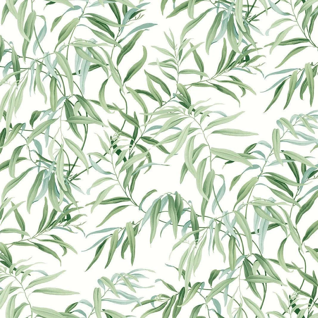 Willow Grove Wallpaper // Forest