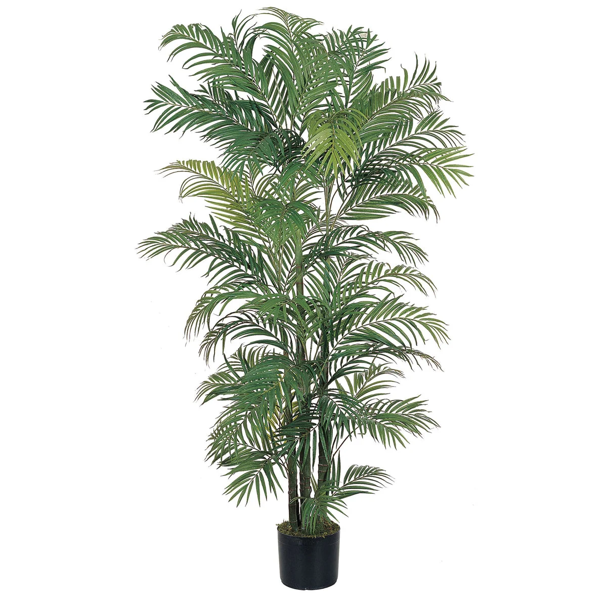 Nearly Natural 6` Areca Silk Palm Tree