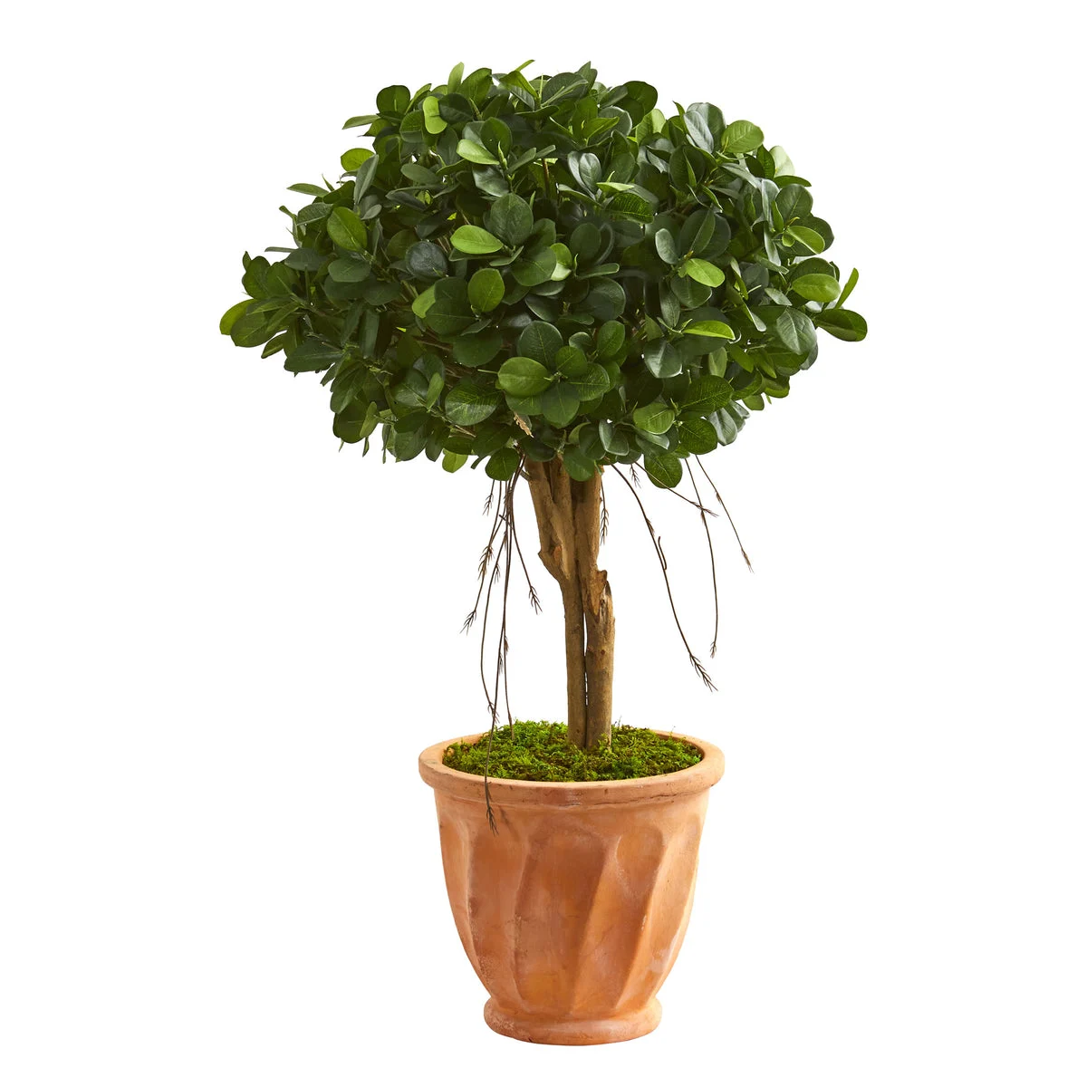 Nearly Natural 9064 3' Artificial Green Ficus Tree in Terra Cotta Planter