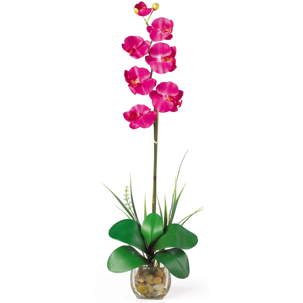 Nearly Natural Single Phalaenopsis Liquid Illusion Silk Flower Arrangement