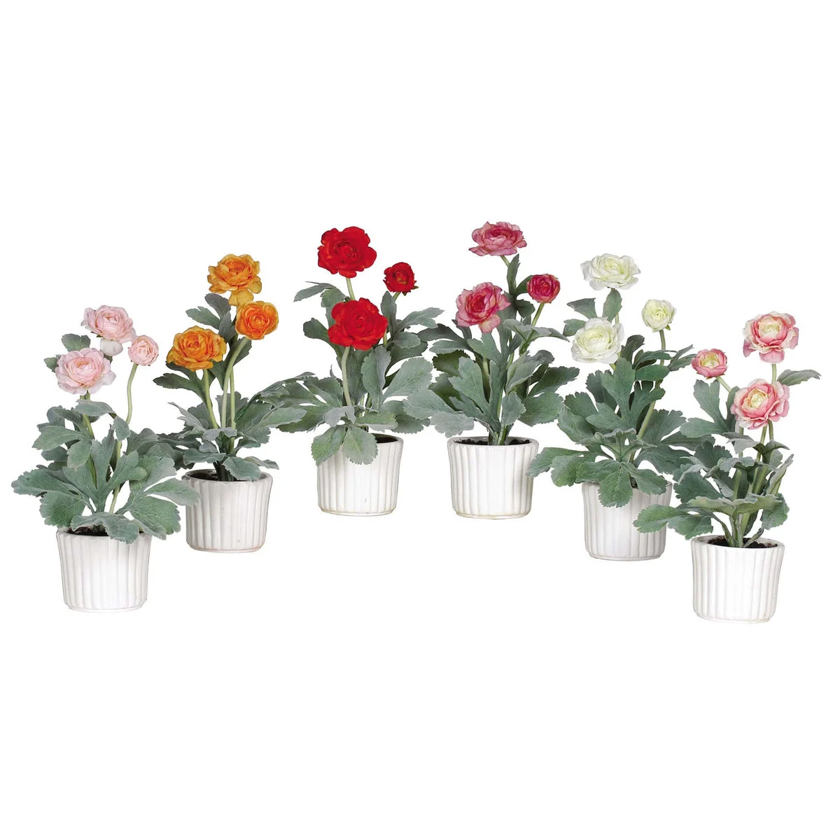 Nearly Natural Ranunculus w/White Vase (Set of 6)