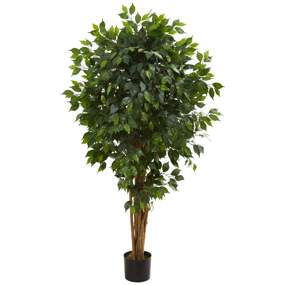 Nearly Natural 5569 5.5' Artificial Green Ficus Tree