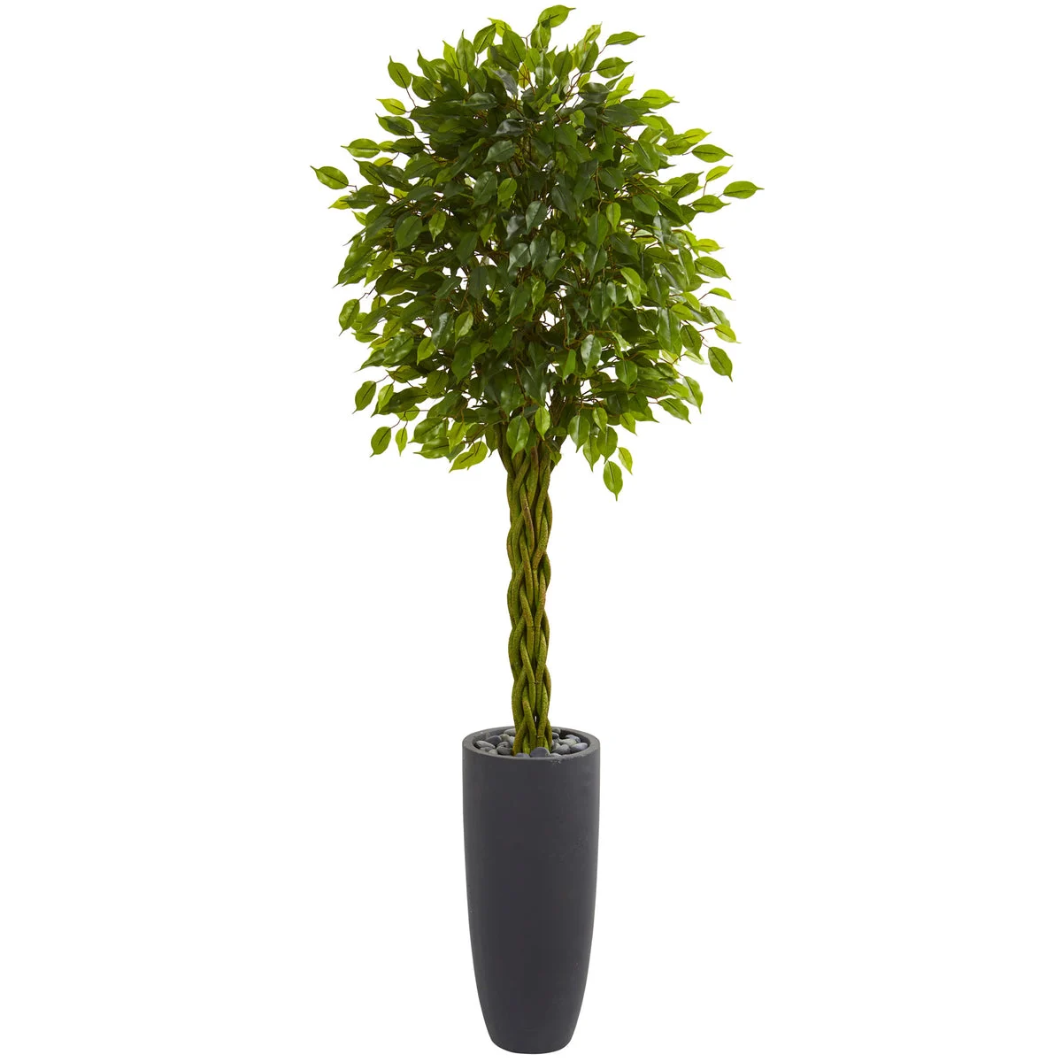 Nearly Natural 5736 6.5' Artificial Green Braided Ficus Tree in Cylinder Planter, UV Resistant (Indoor/Outdoor)