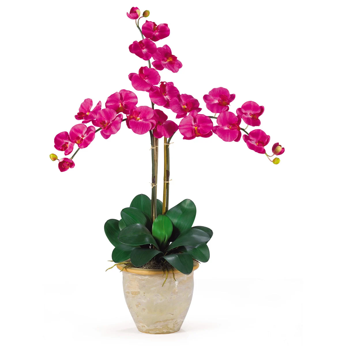 Nearly Natural Triple Stem Phalaenopsis Silk Orchid Arrangement