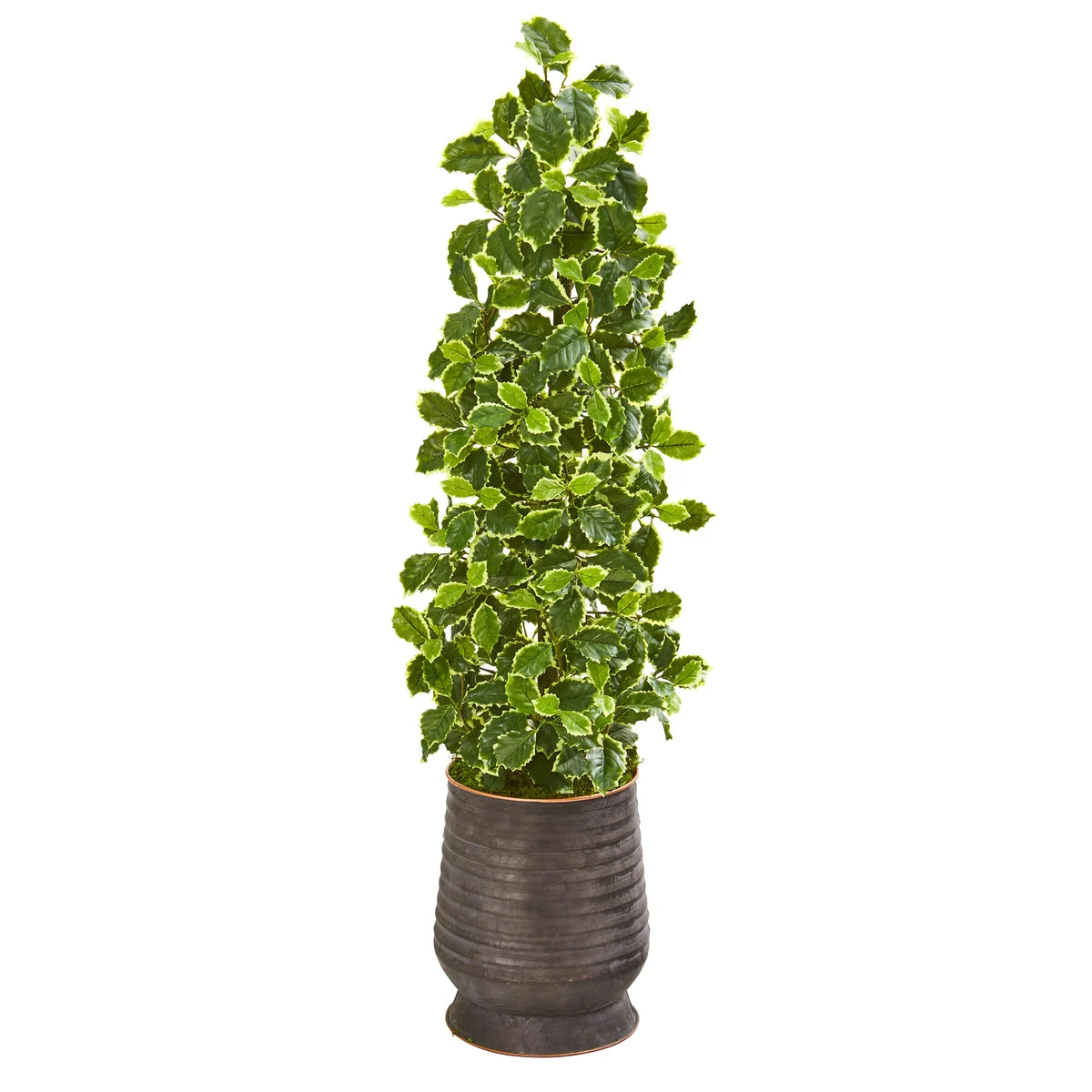 Nearly Natural 9959 43" Artificial Green Real Touch Variegated Holly Leaf Tree in Ribbed Metal Planter