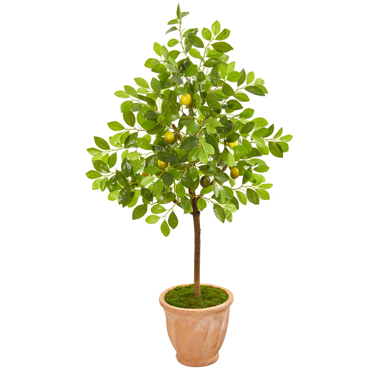 Nearly Natural 9559 55" Artificial Green Lemon Tree in Terra Cotta Planter