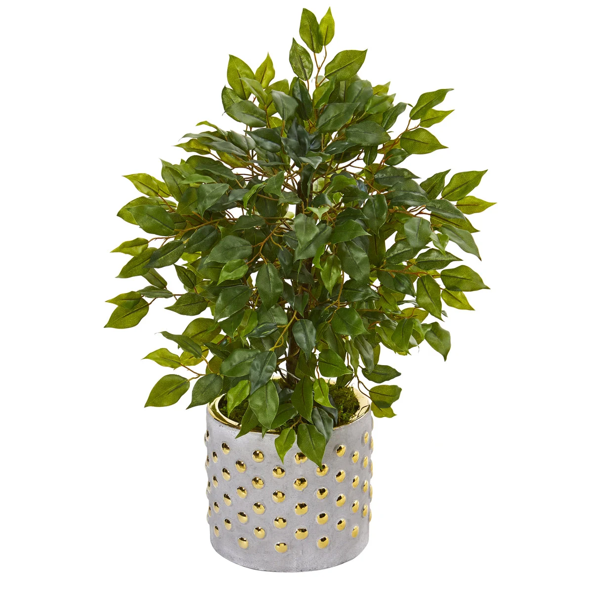 Nearly Natural 9917 17" Artificial Green Mini Ficus Tree in Stoneware Vase with Gold Trimming