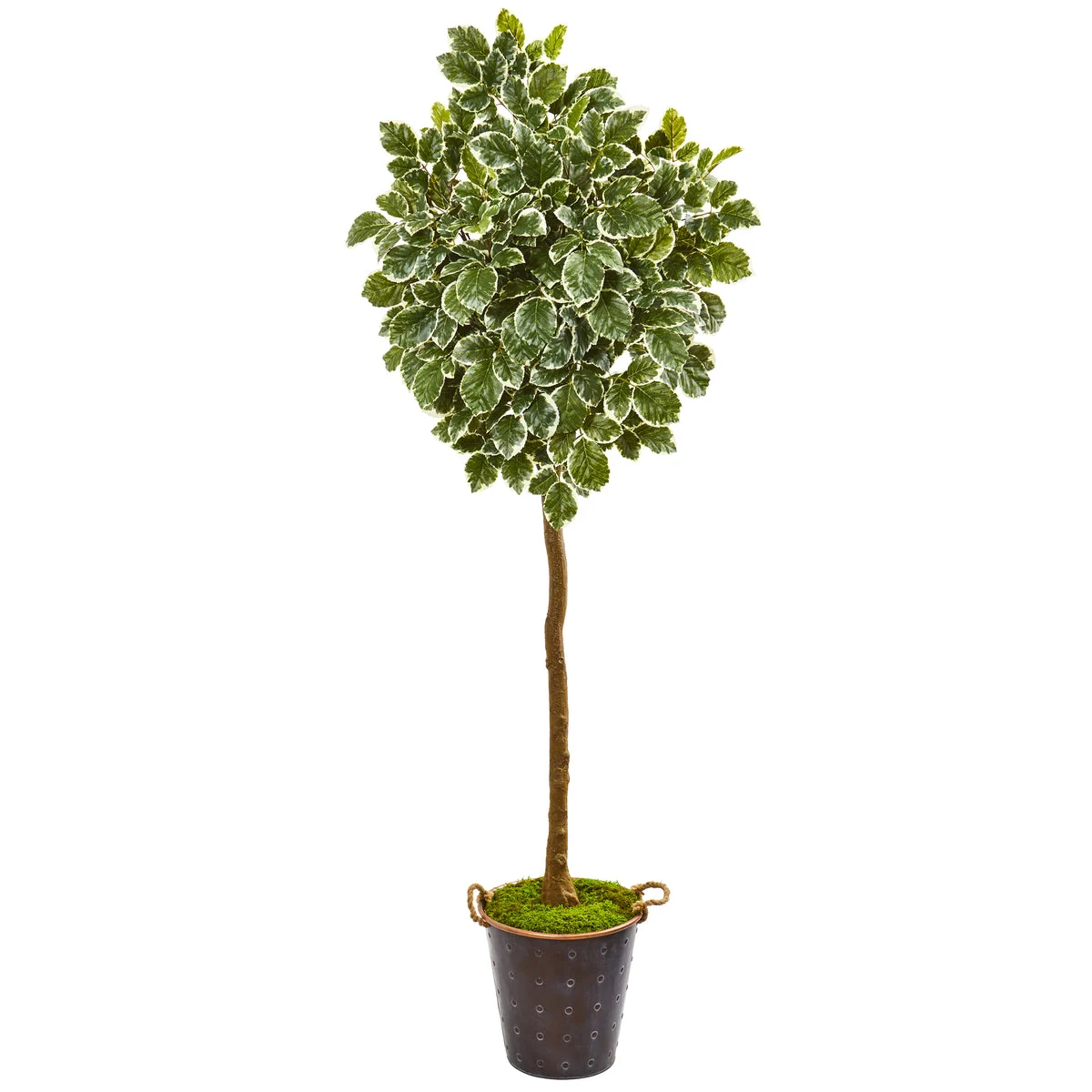 Nearly Natural 9563 77" Artificial Green Variegated Aralia Tree in Metal Planter