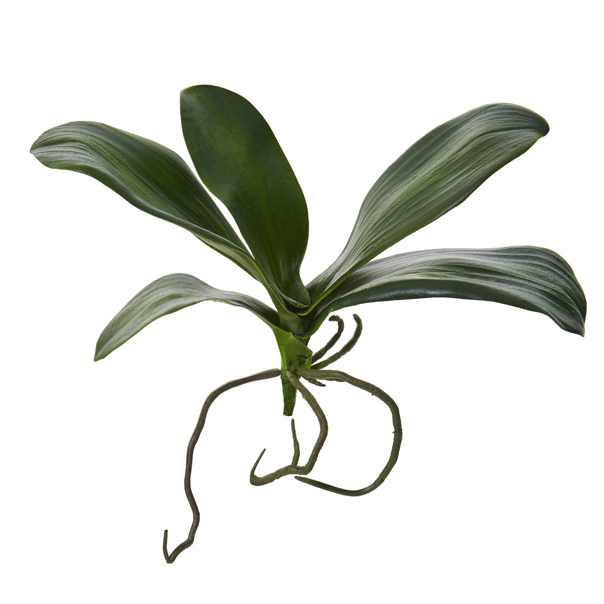 Nearly Natural 2345-S6 9" Artificial Green Phalaenopsis Orchid Leaf Flower, Set of 6