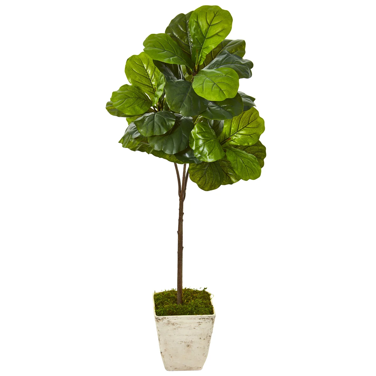 Nearly Natural 9680 5' Artificial Green Real Touch Fiddle Leaf Tree in Country White Planter