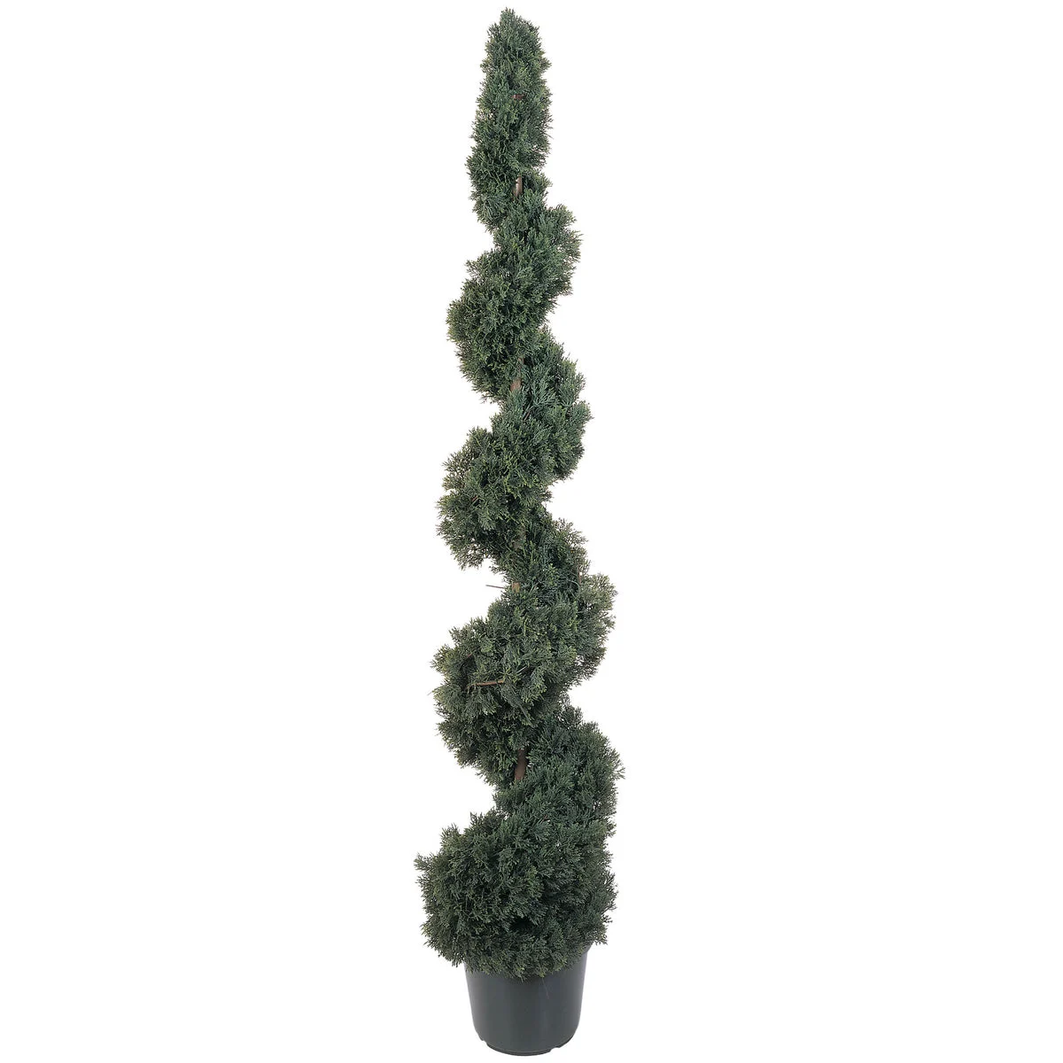 Nearly Natural 5` Cedar Spiral Silk Tree (In-door/Out-door)