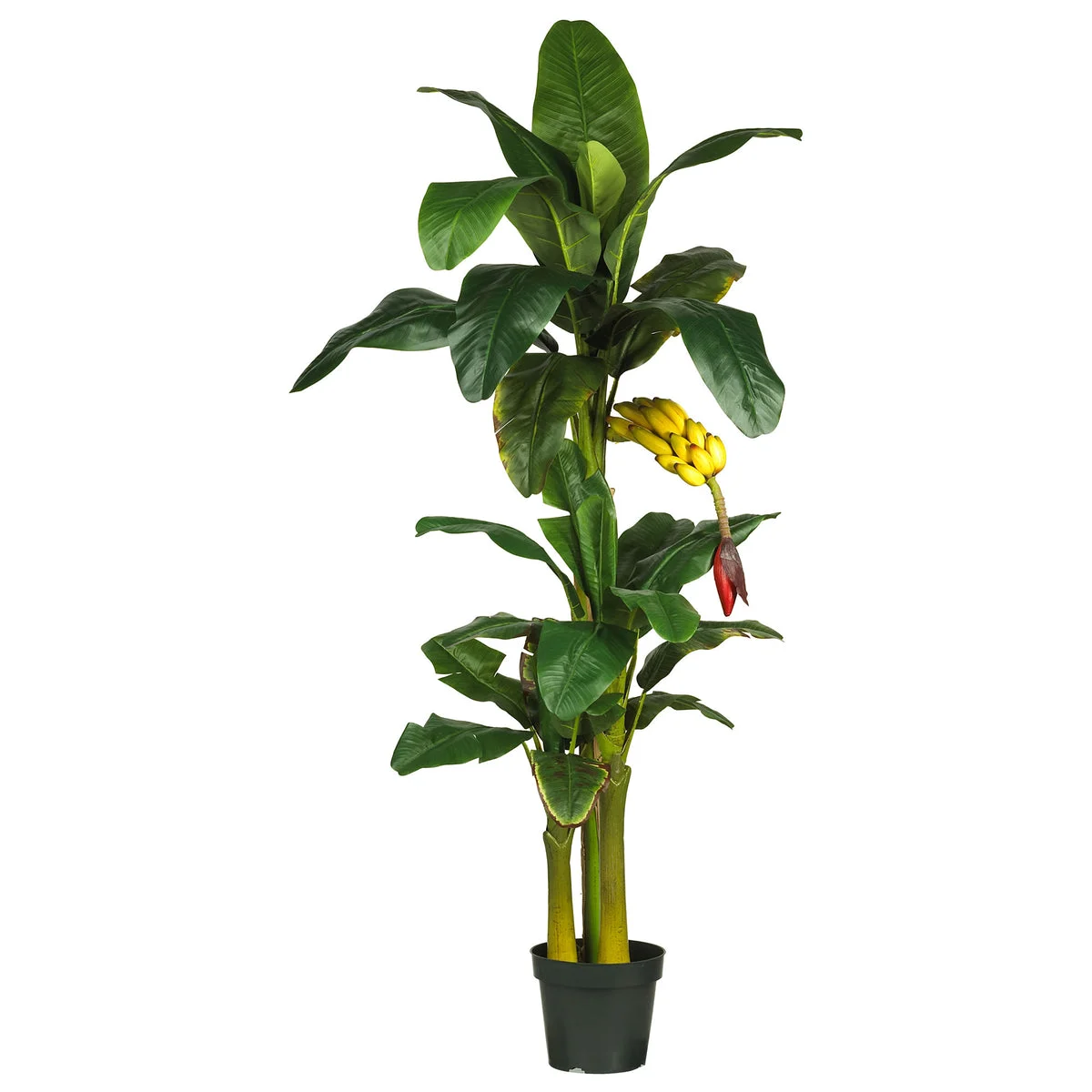 Nearly Natural 6` Triple Stalk Banana Silk Tree