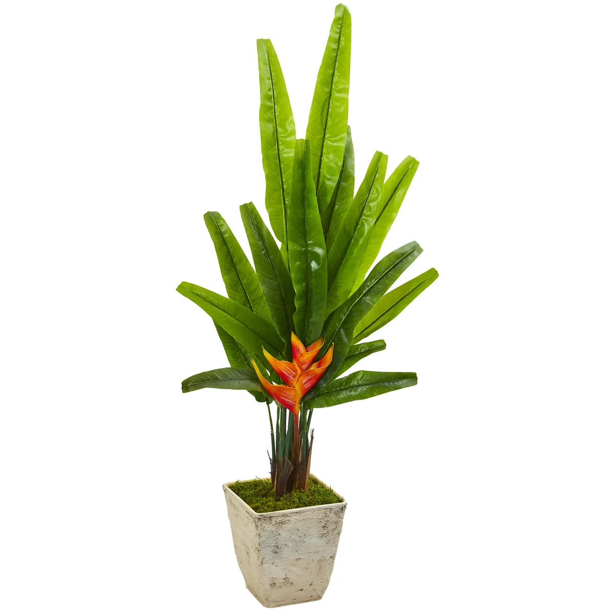 Nearly Natural 9984 55" Artificial Green Traveler's Palm Tree in Country White Planter