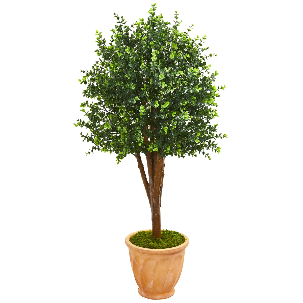 Nearly Natural 9699 52" Artificial Green Eucalyptus Tree in Terra-Cotta Planter, UV Resistant (Indoor/Outdoor)