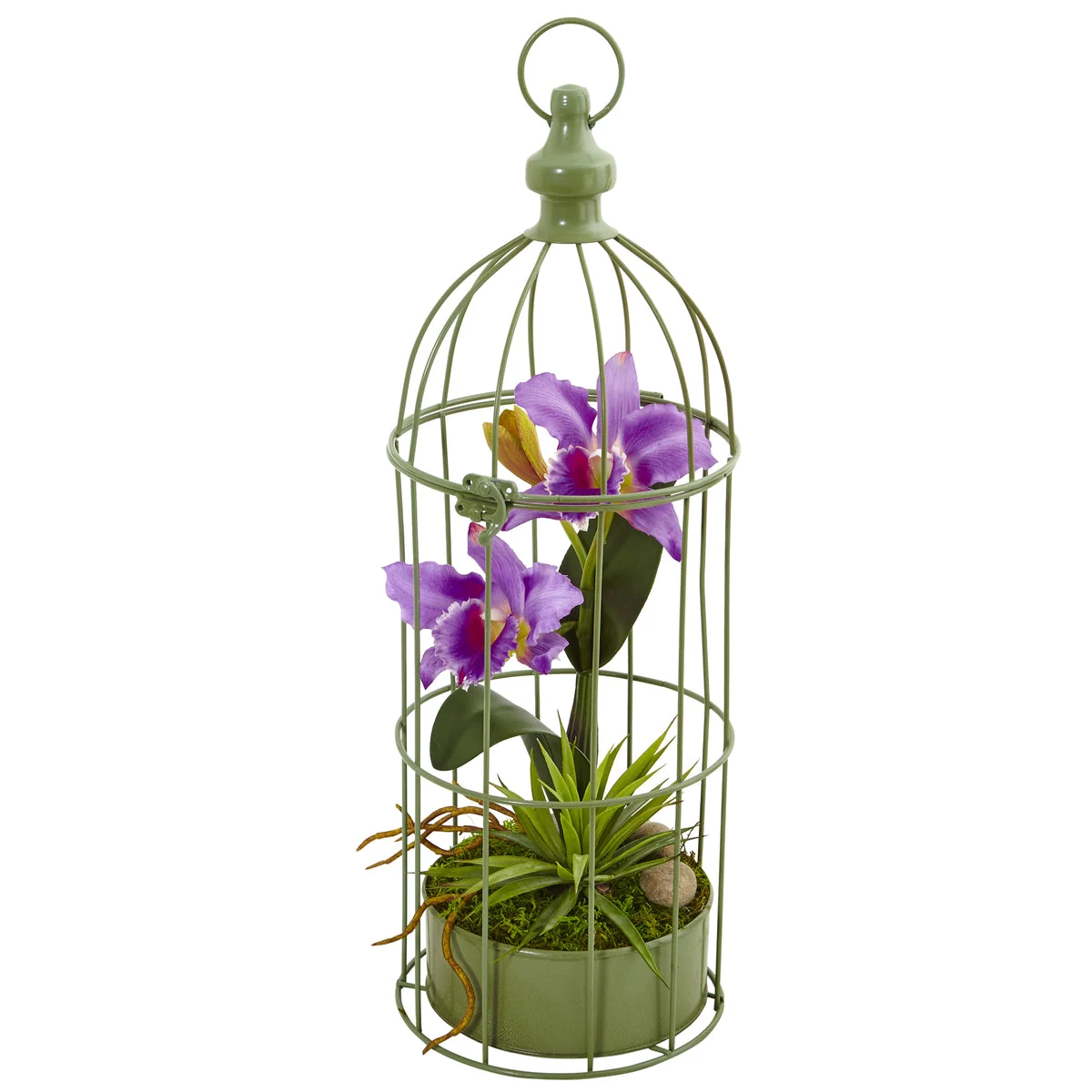 Nearly Natural Cattleya Orchid Arrangement in Bird Cage