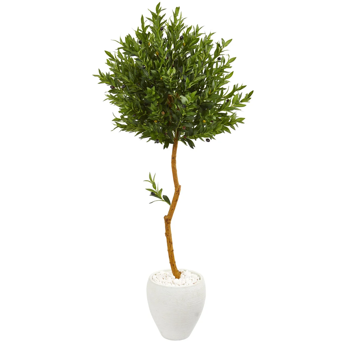 Nearly Natural 9344 63" Artificial Green Olive Topiary Tree in White Planter, UV Resistant (Indoor/Outdoor)