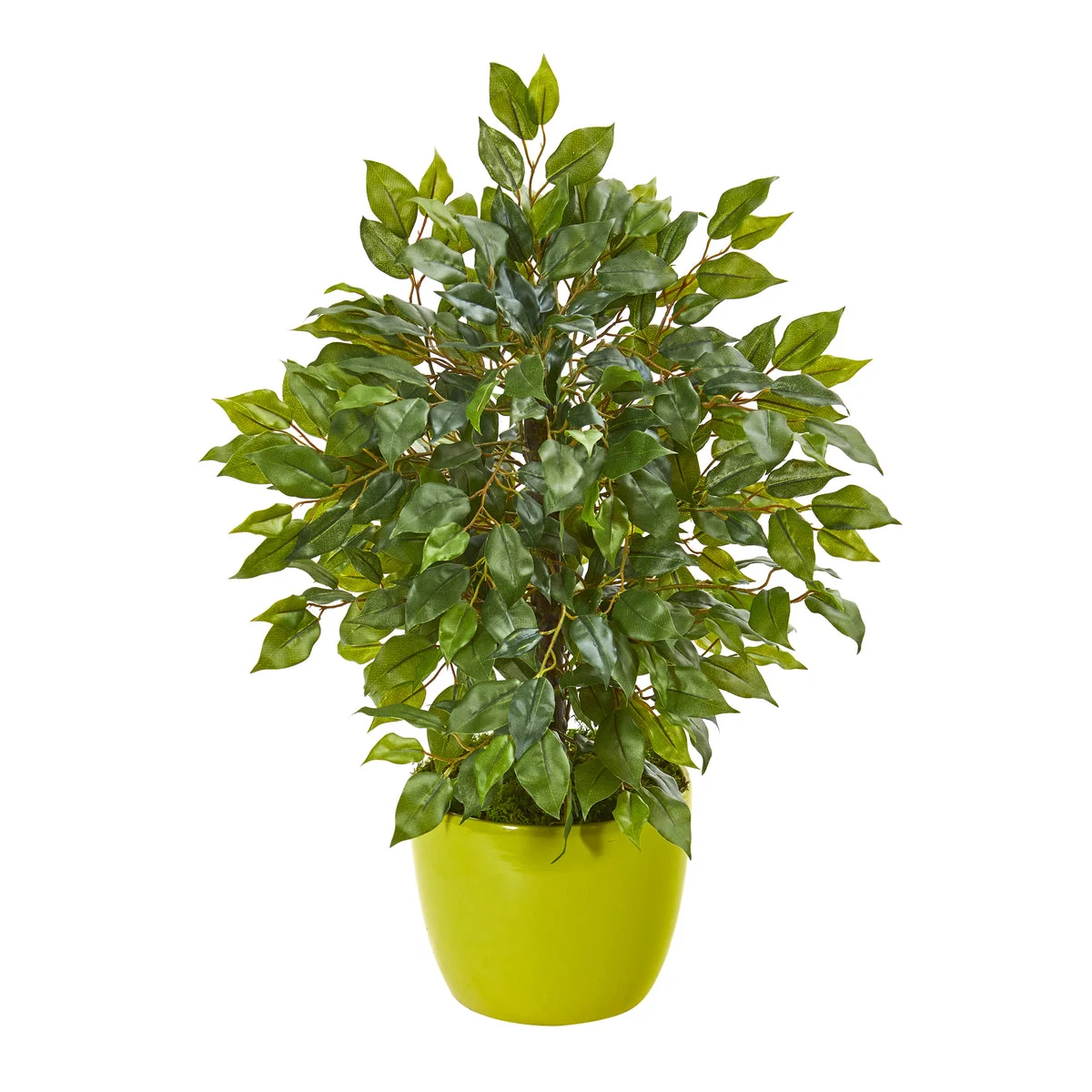 Nearly Natural 9914 16" Artificial Green Mini Ficus Tree in Green Planter