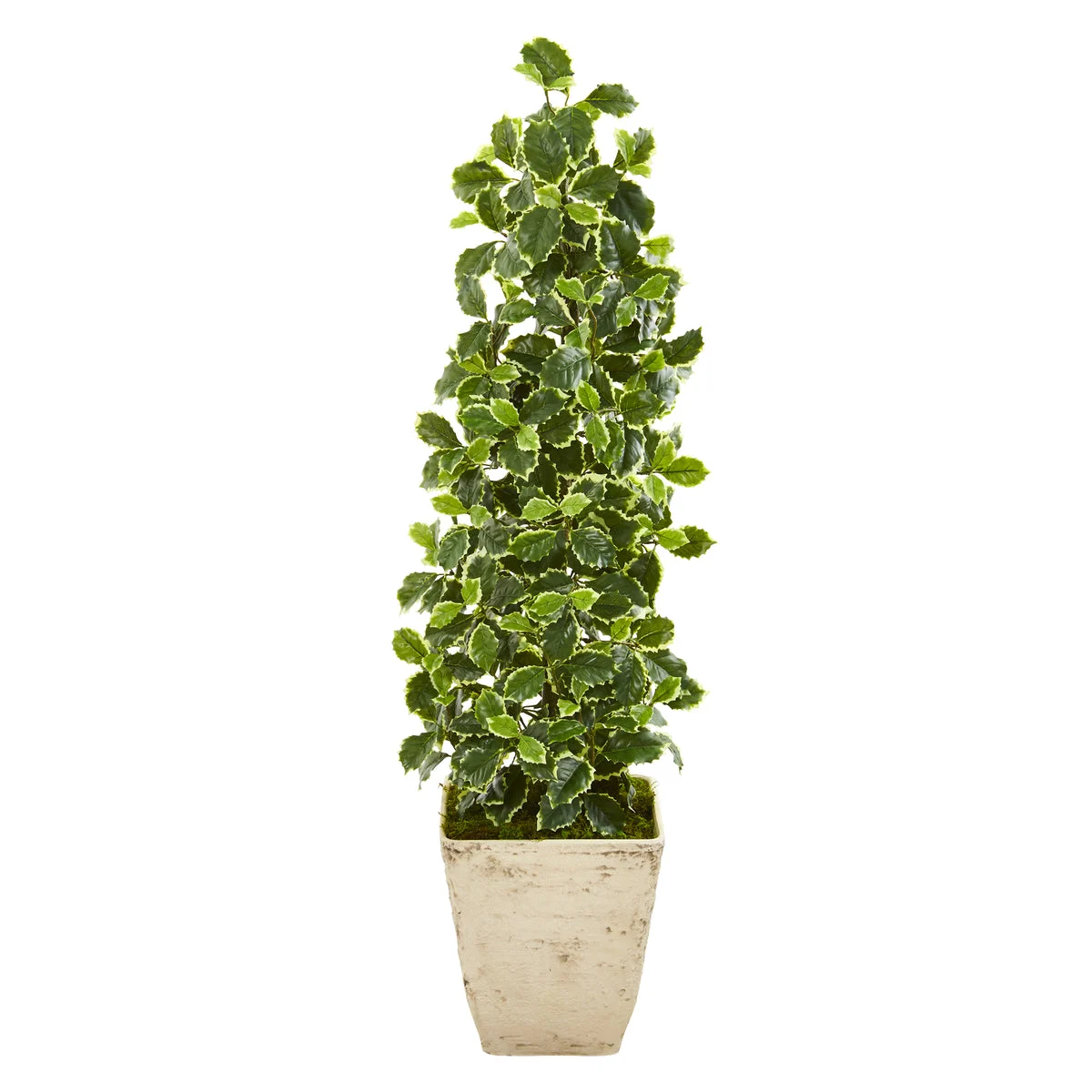 Nearly Natural 9960 41" Artificial Green Real Touch Variegated Holly Leaf Tree in Country White Planter
