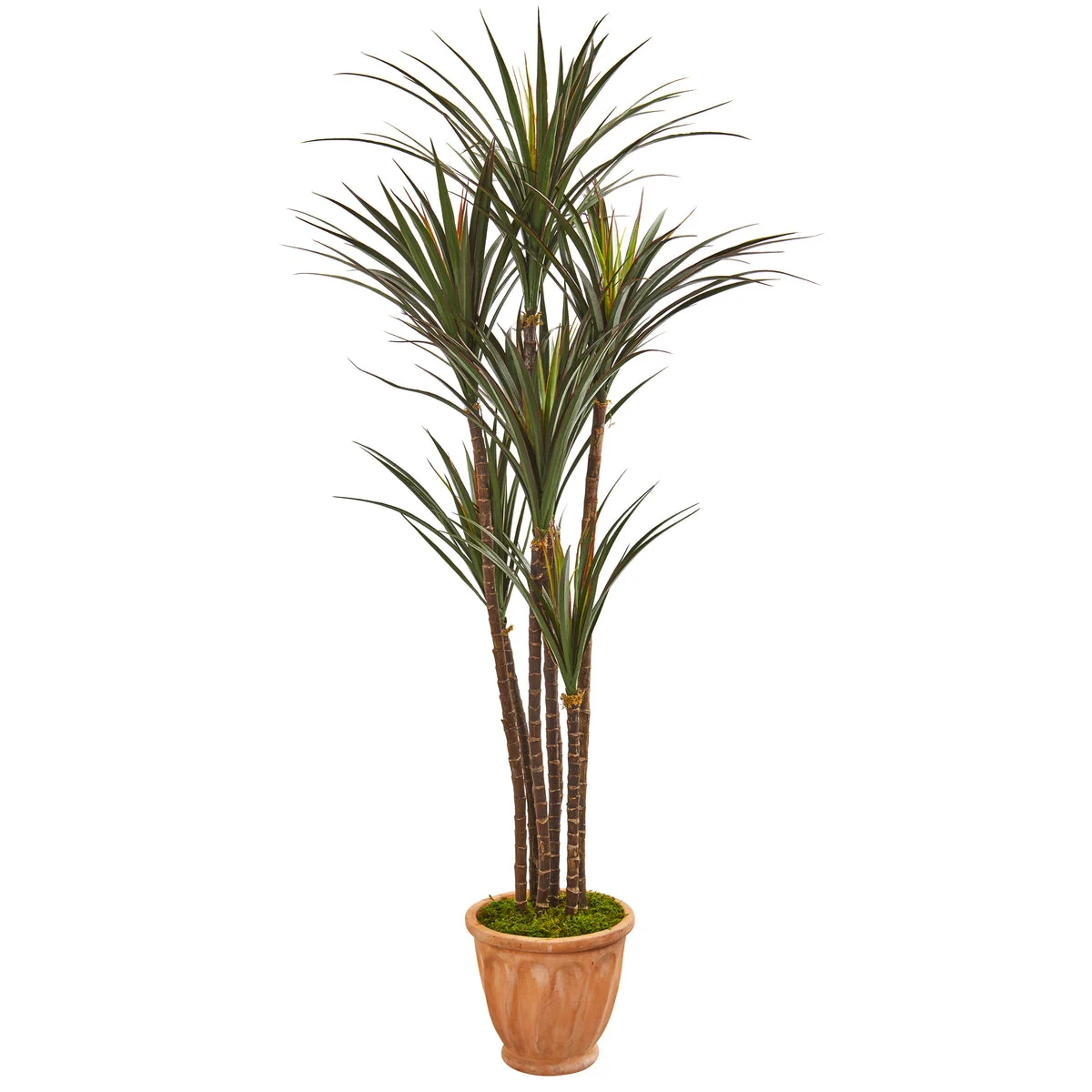 Nearly Natural 9648 69" Artificial Green Giant Yucca Tree in Terracotta Planter, UV Resistant (Indoor/Outdoor)