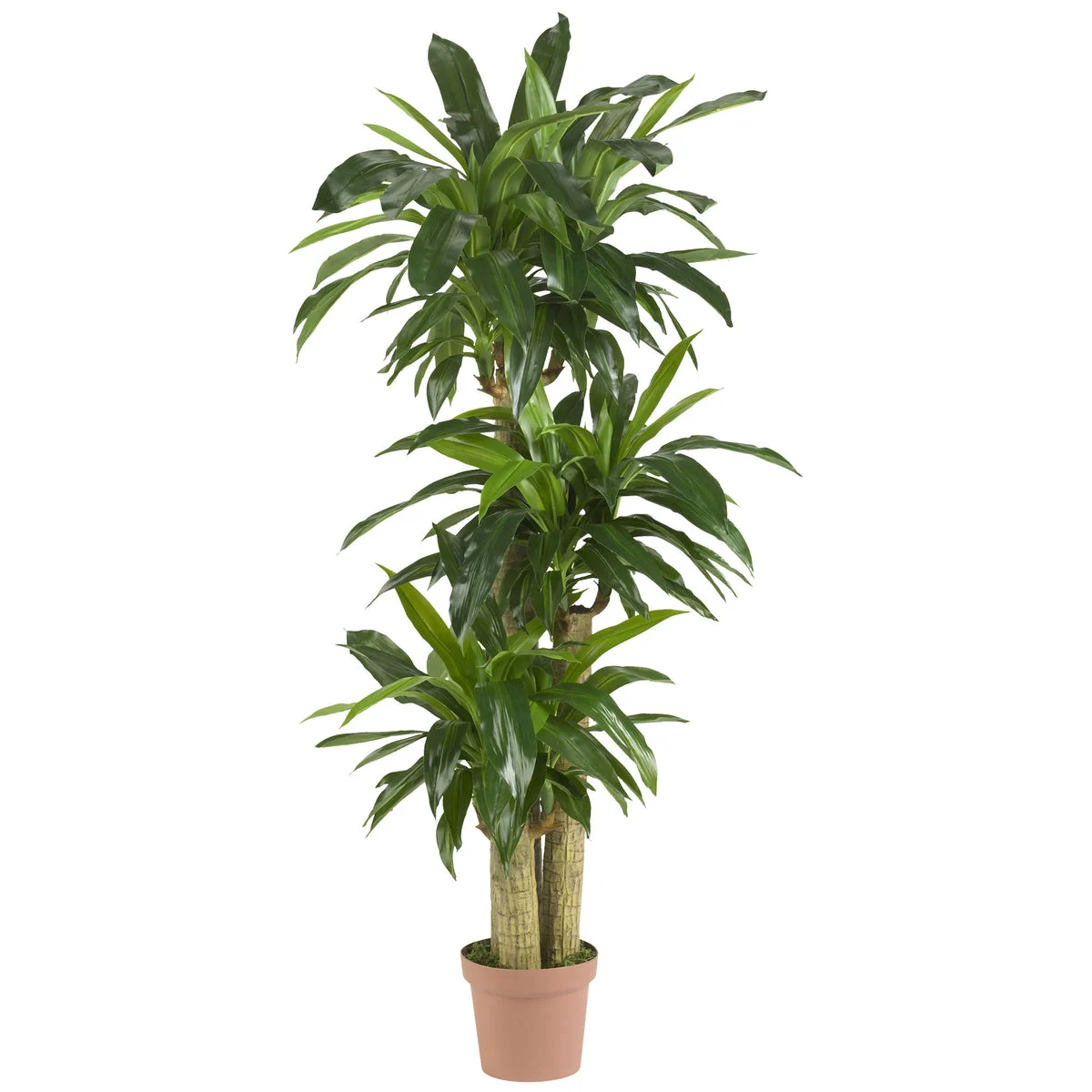 Nearly Natural Corn Stalk Dranaena Silk Plant (Real Touch)