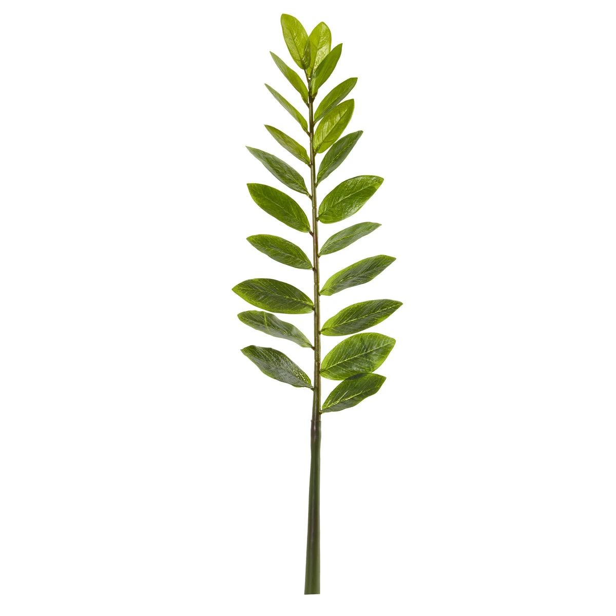 Nearly Natural 8328-S6 28" Artificial Green Zamioculcas Flower Stem, Set of 6