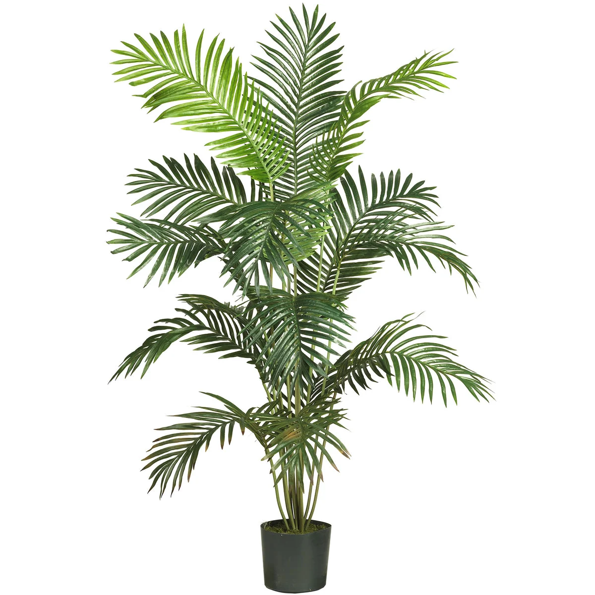 Nearly Natural 6’ Paradise Palm