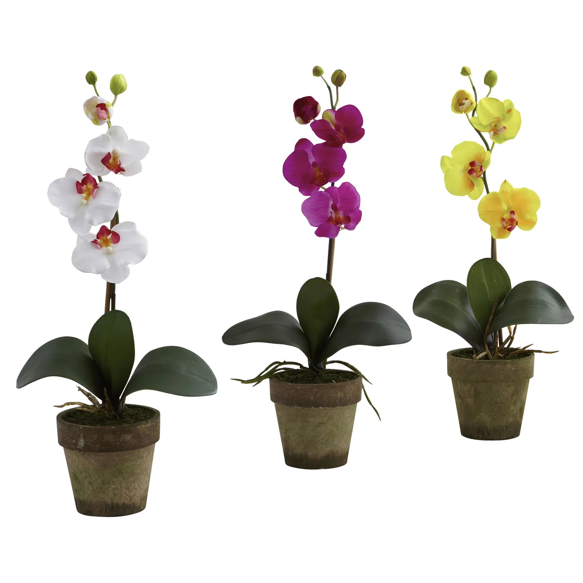 Nearly Natural Potted Phalaenopsis (Set of 3)