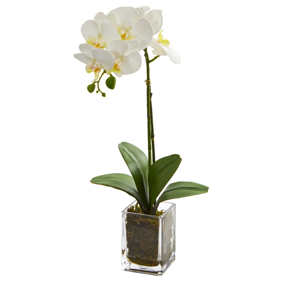 Nearly Natural 24`` Orchid Phalaenopsis Artificial Arrangement in Vase