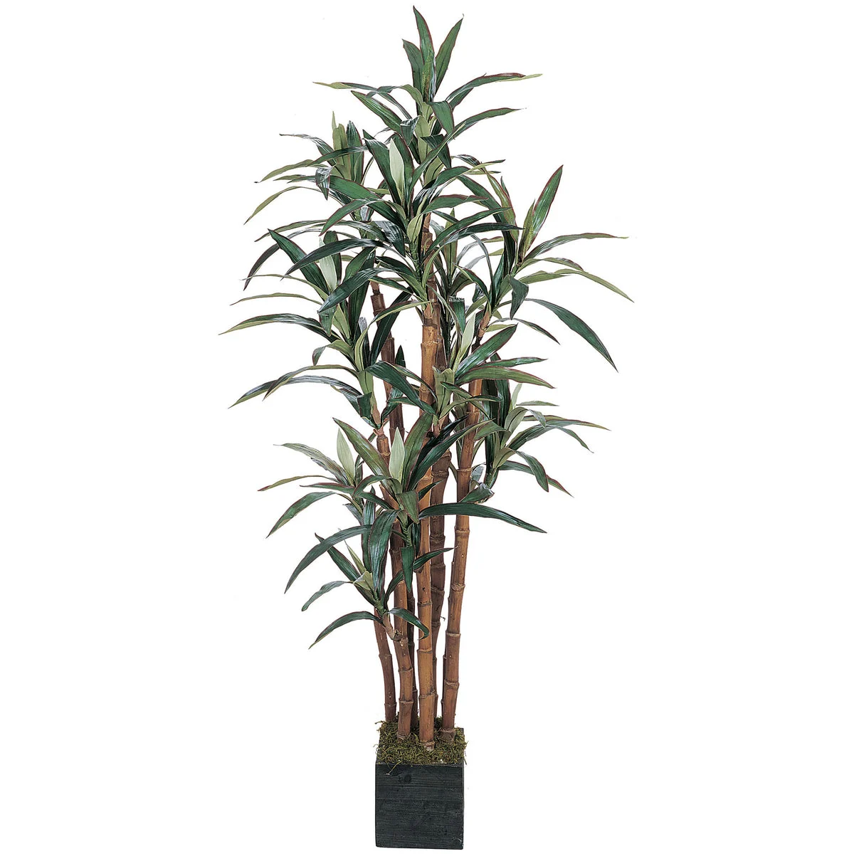 Nearly Natural 5` Yucca Silk Tree