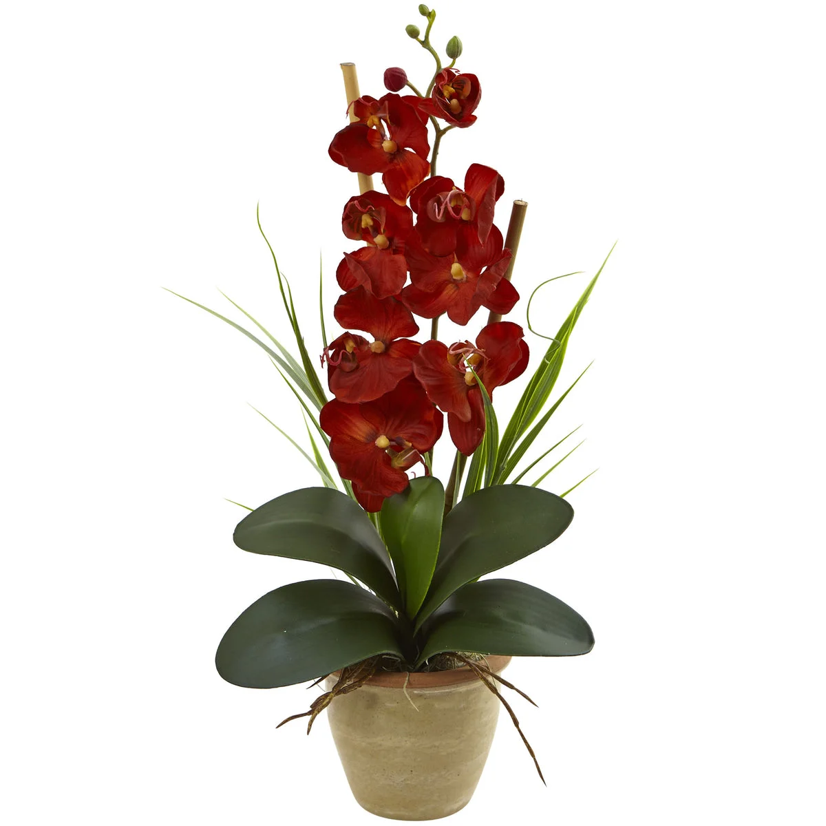 Nearly Natural Seasonal Phalaenopsis Orchid Arrangement