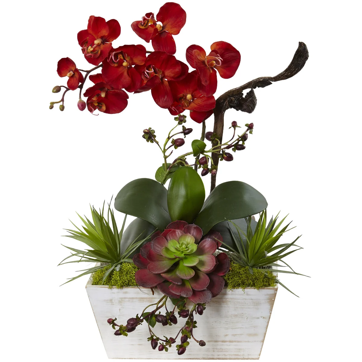 Nearly Natural Seasonal Orchid & Succulent Garden w/White Wash Planter