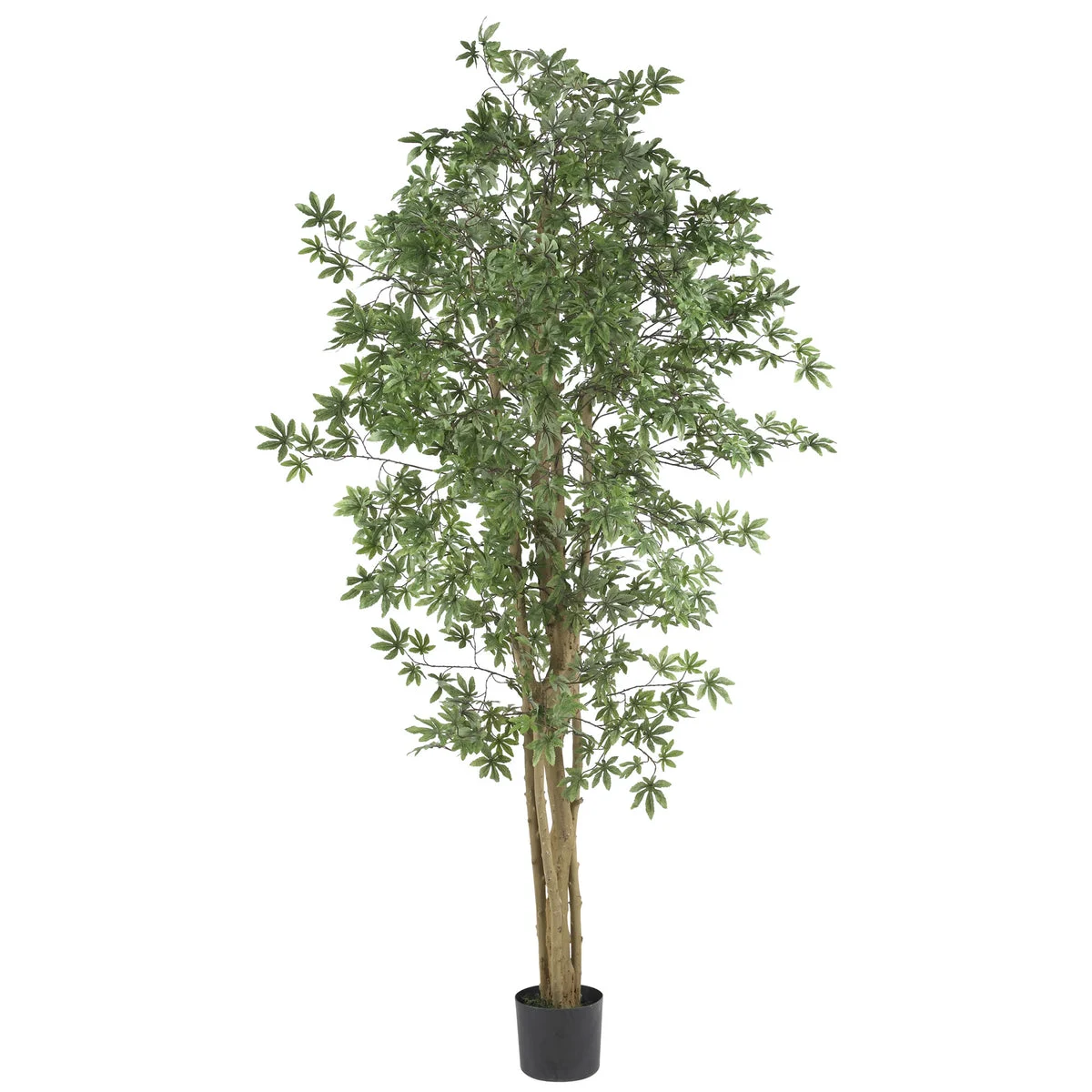 Nearly Natural 6` Japanese Maple Silk Tree