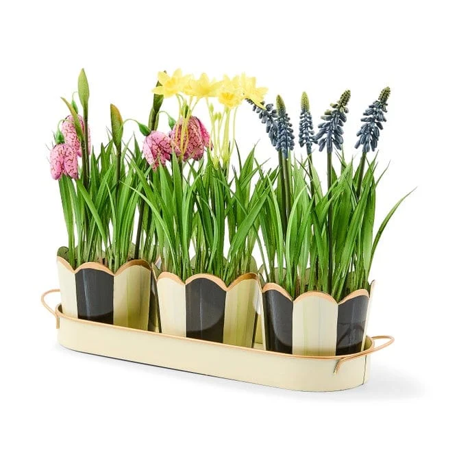 MacKenzie-Childs Courtly Stripe Triple Potted Blooms