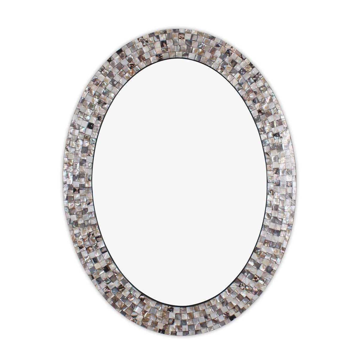 Chloe Lighting Reflection Vertical Hanging Seashell Finish Oval Framed Wall Mirror 35`` Height