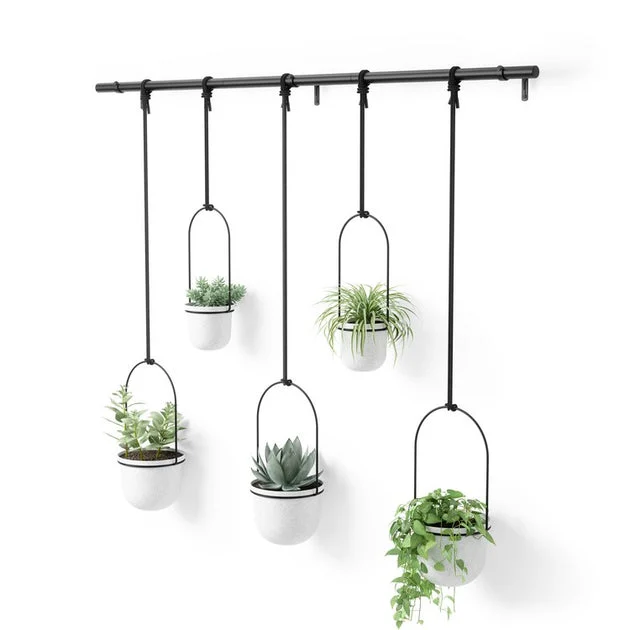 Triflora Hanging Planters Set of 5