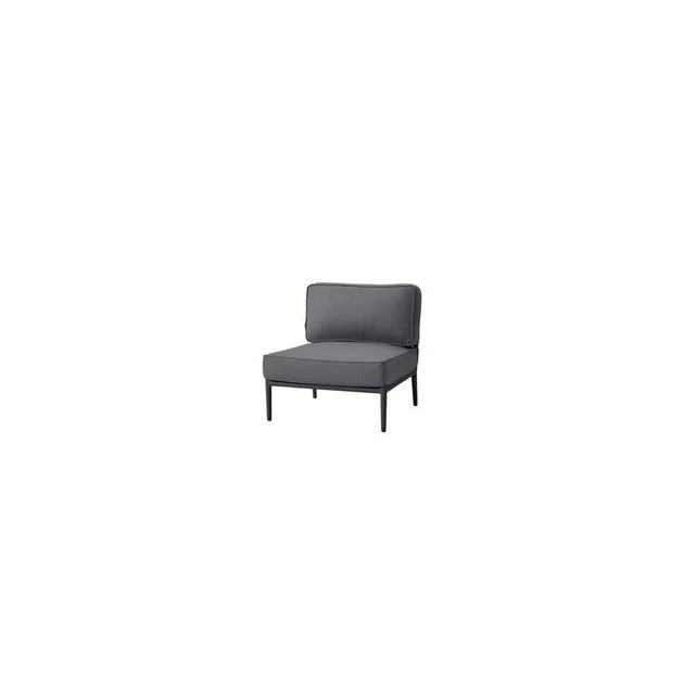 Conic Single-Seater Module