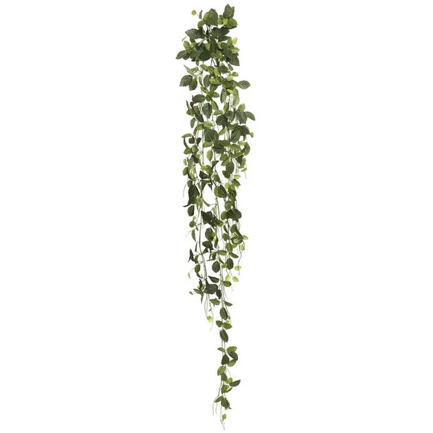65" Green Fittonia Hanging Bush with 374 Leaves