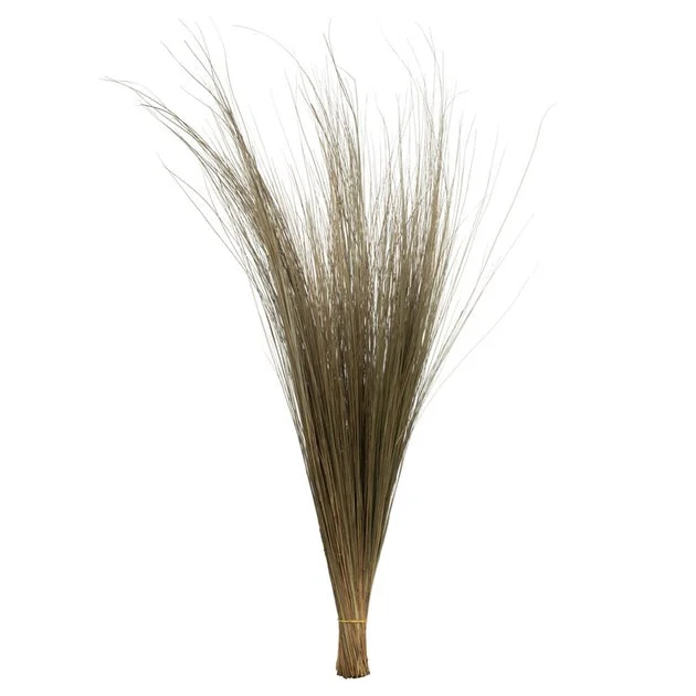 35"- 40" Natural Preserved Bright Grass 8oz Bundle 2-Pack