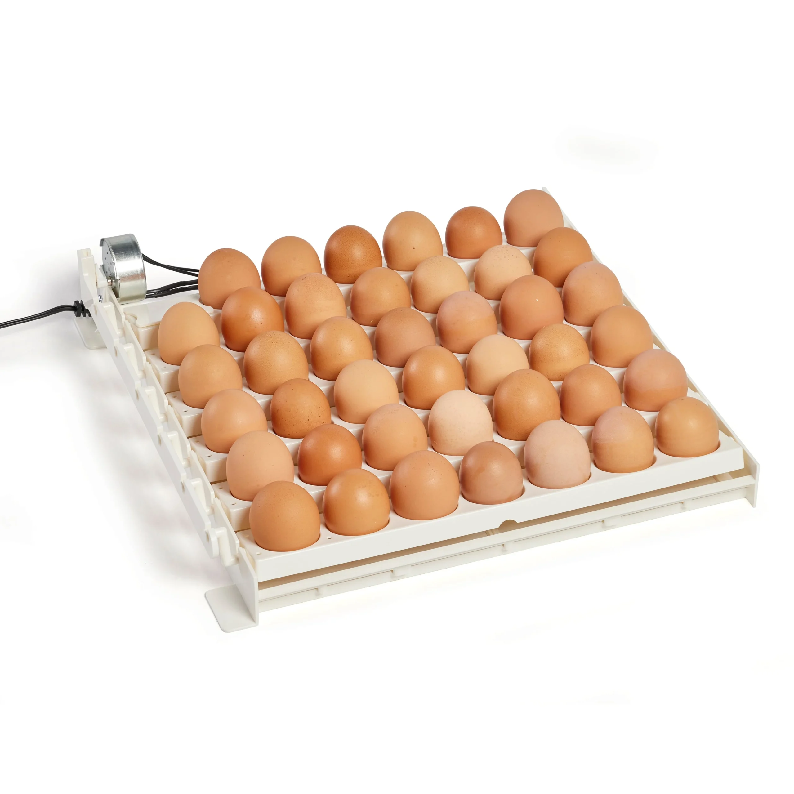 Farm Innovators 3200 Automatic 41 Spot Egg Turner for Improved Hatching, White