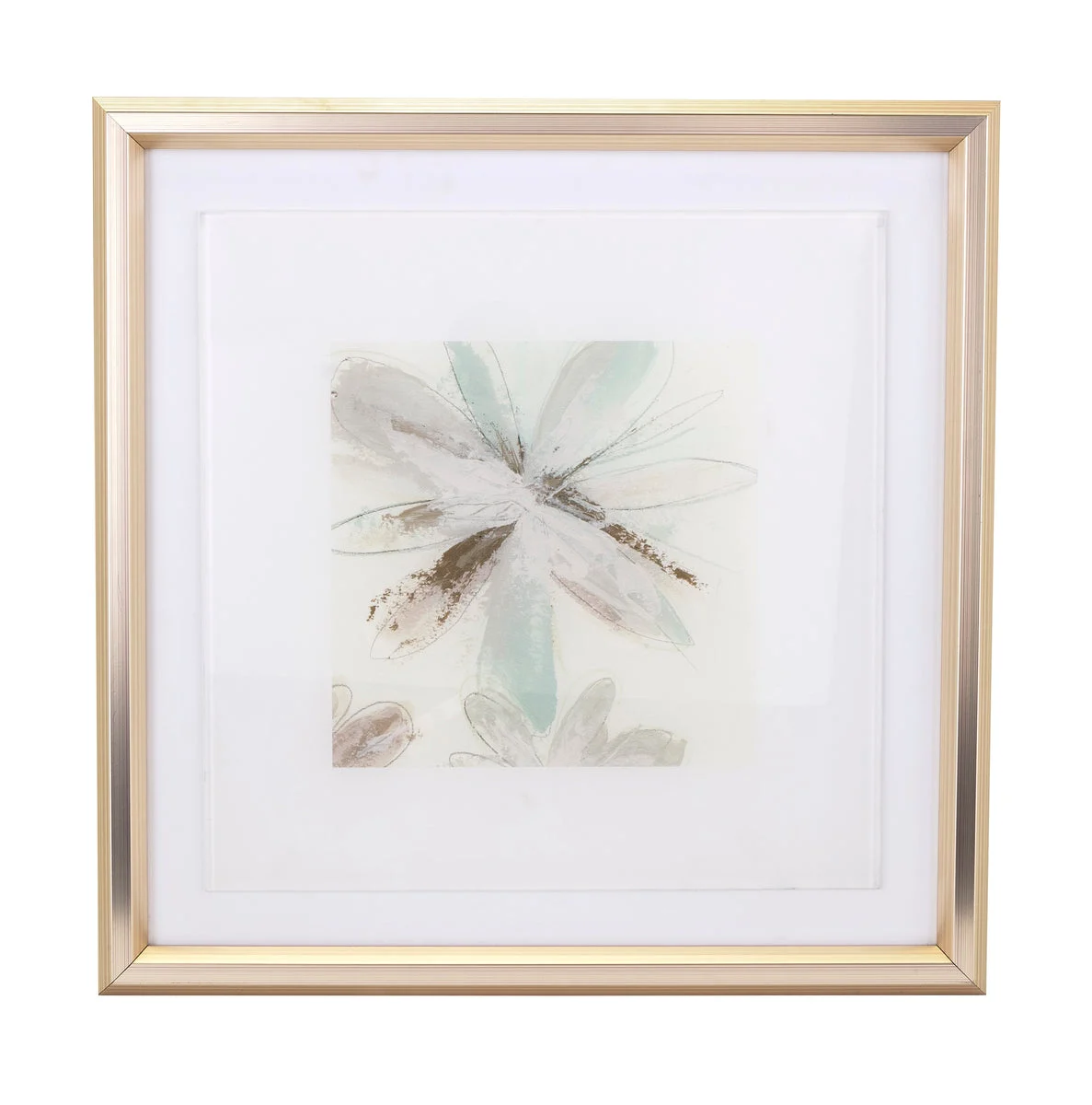 IMAX Worldwide Home TY Floral Floating Acrylic Framed Wall Decor, Set of 2
