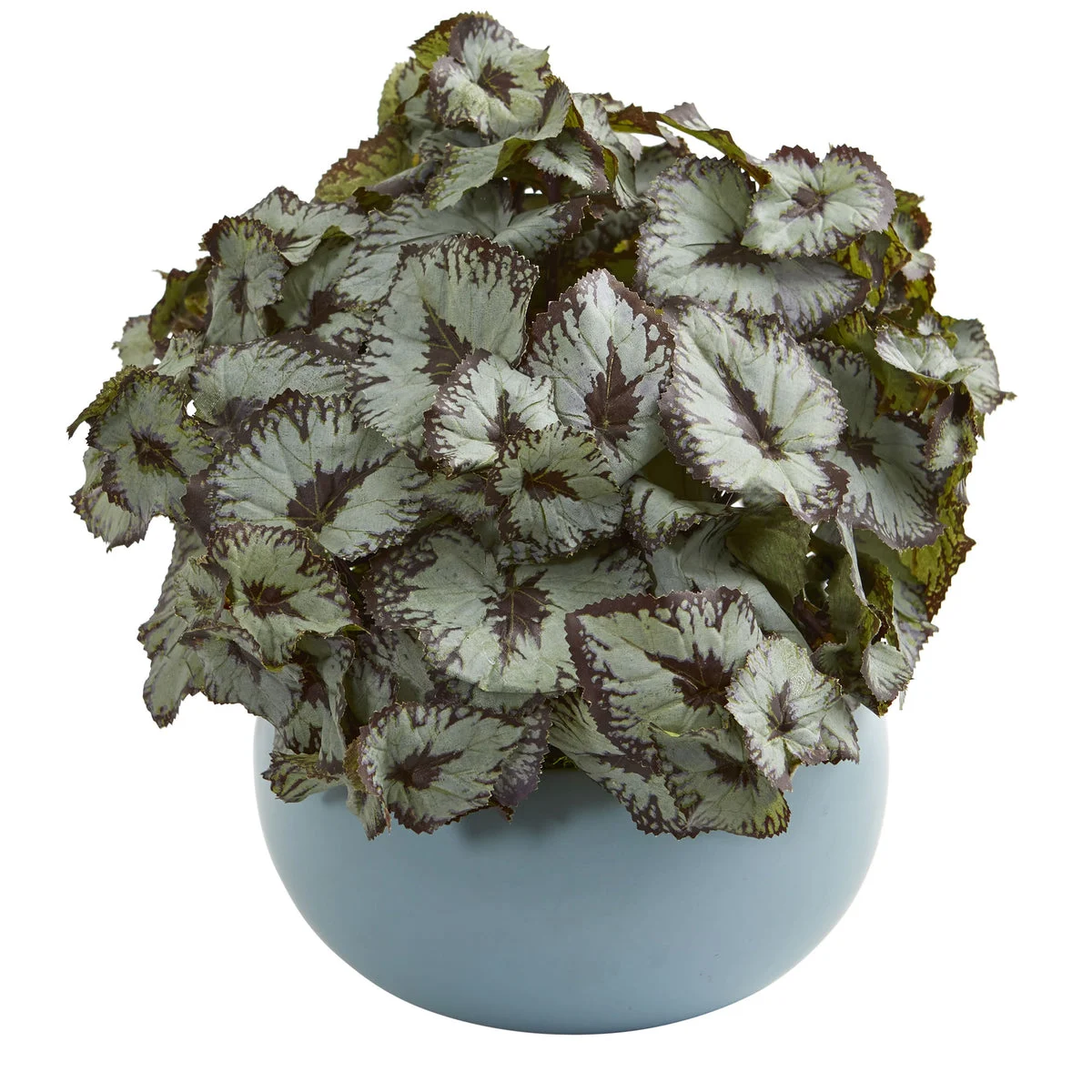 Nearly Natural 8279 12" Artificial Green Begonia Plant in Blue Ceramic Vase