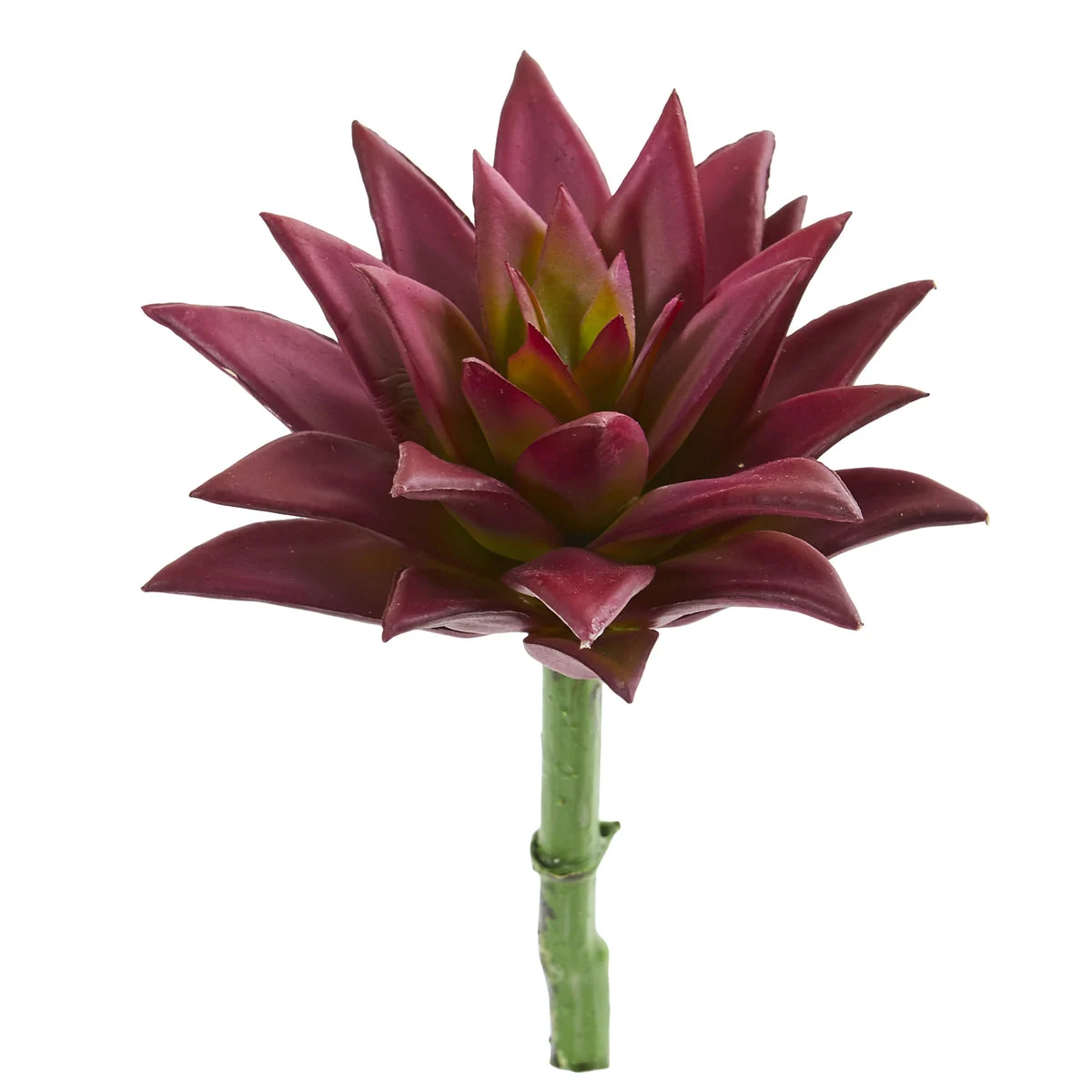 Nearly Natural 8`` Agave Succulent Pick Artificial Plant (Set of 12)