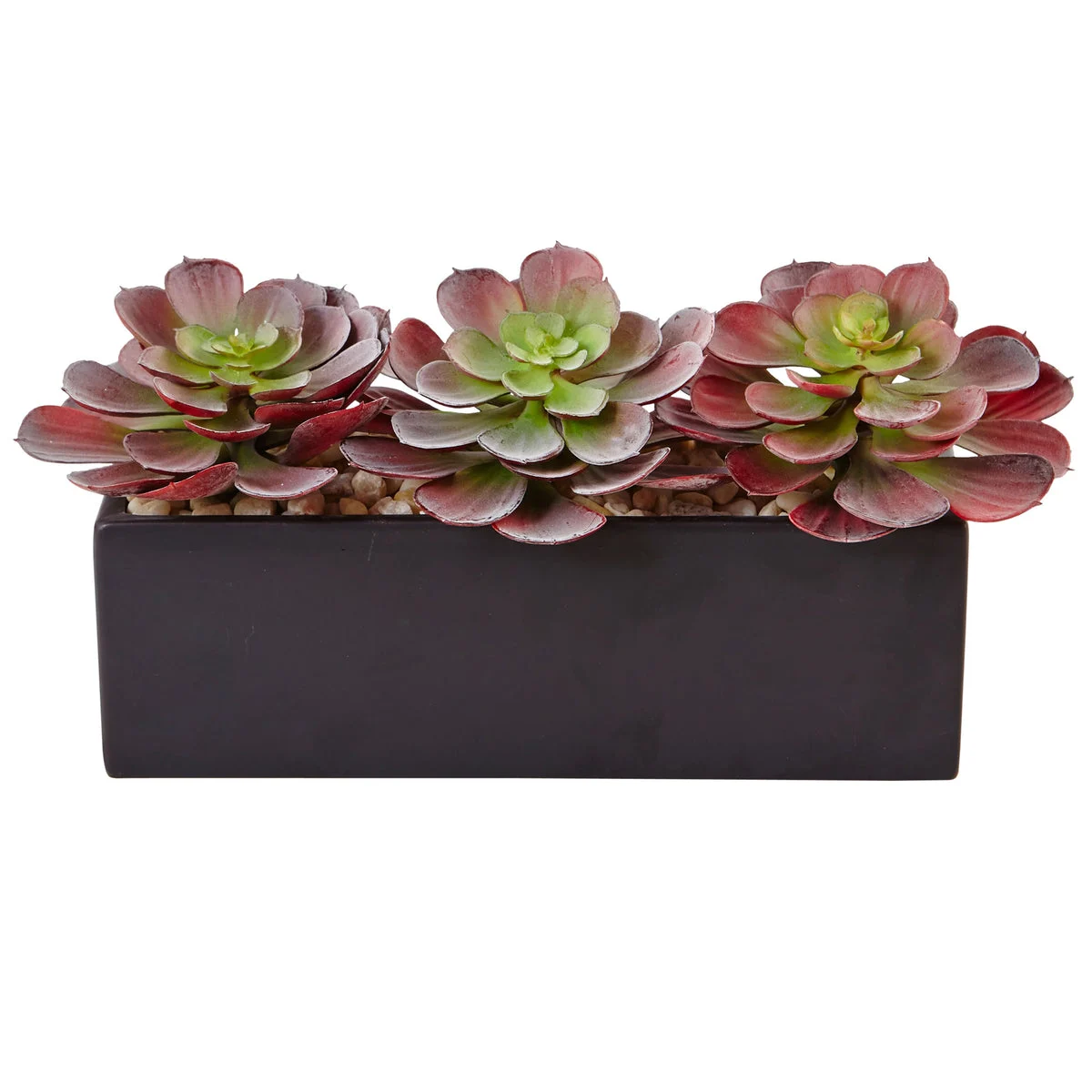 Nearly Natural 6975 6" Artificial Maroon Echeveria Succulent in Rectangular Planter